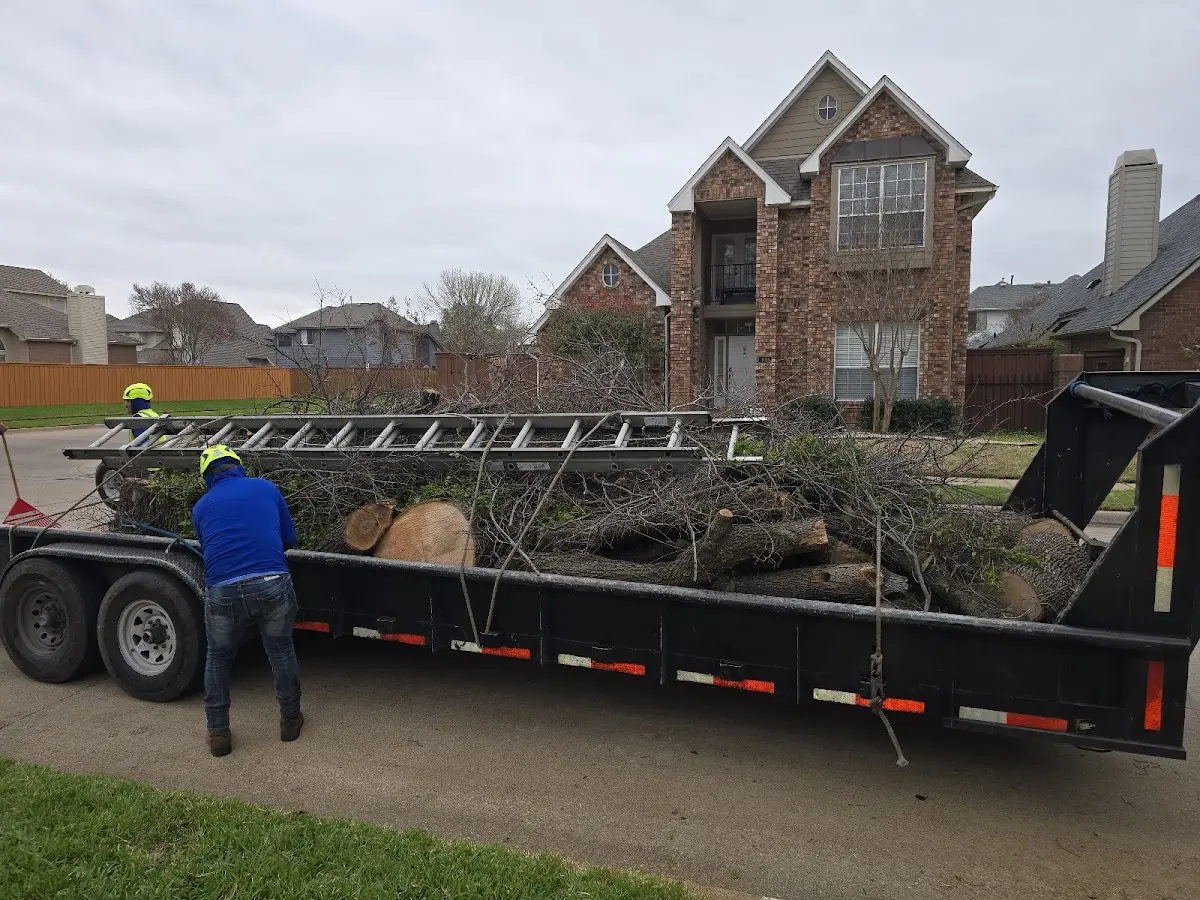 Expert Tree Fertilization with proper safety equipment in Peru